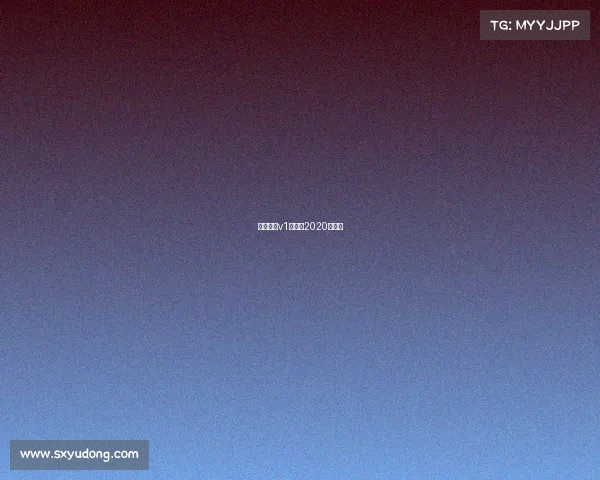 天津武清v1赛车场2020年赛事